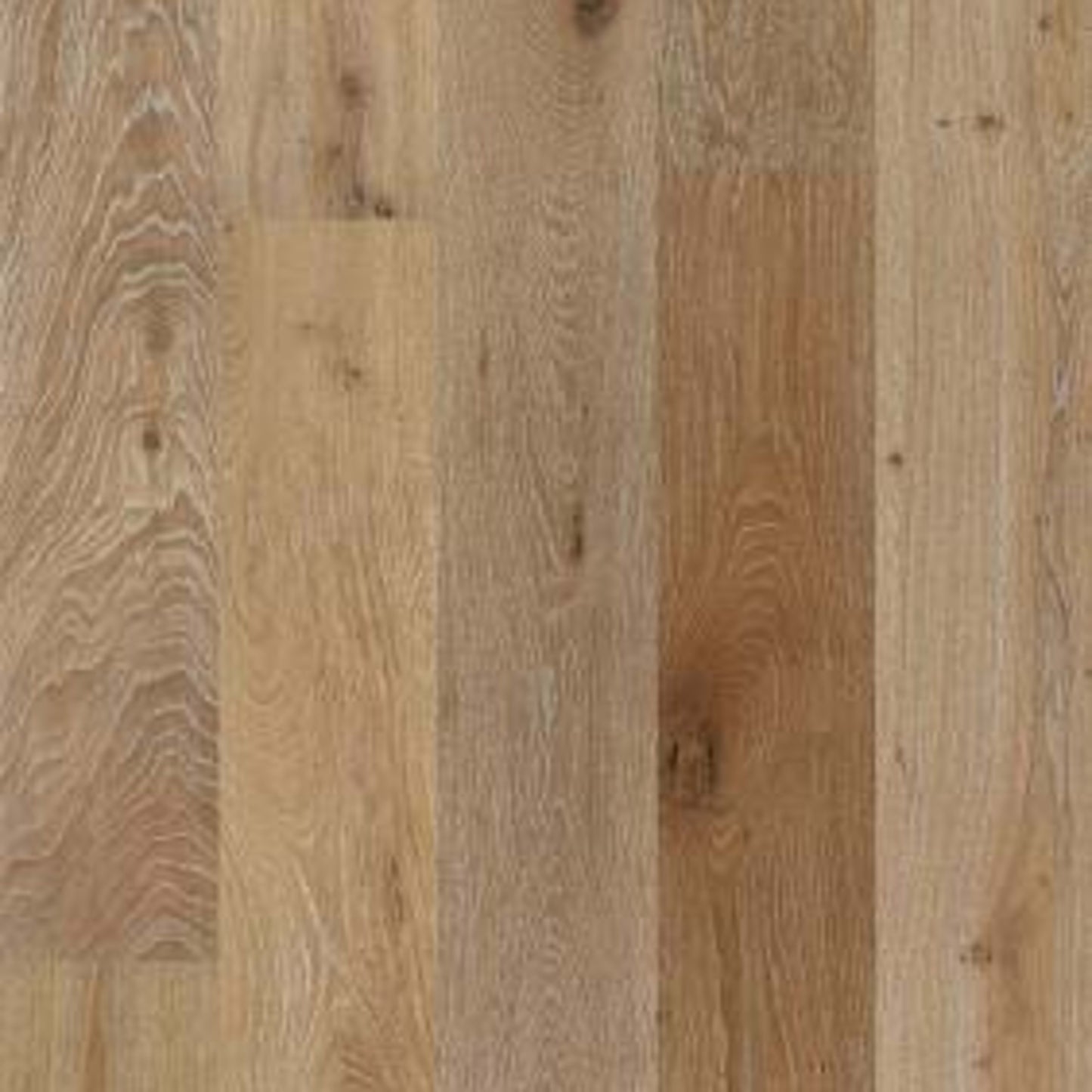 Argonne Forest Oak in Chatelaine Hardwood