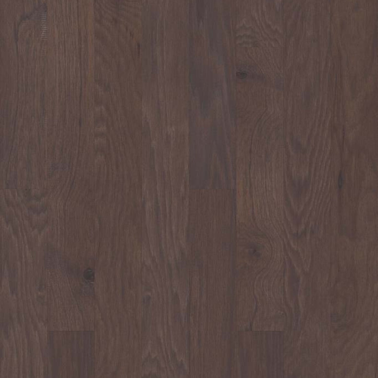 Grant Grove 5 in Crystal Cave Hardwood