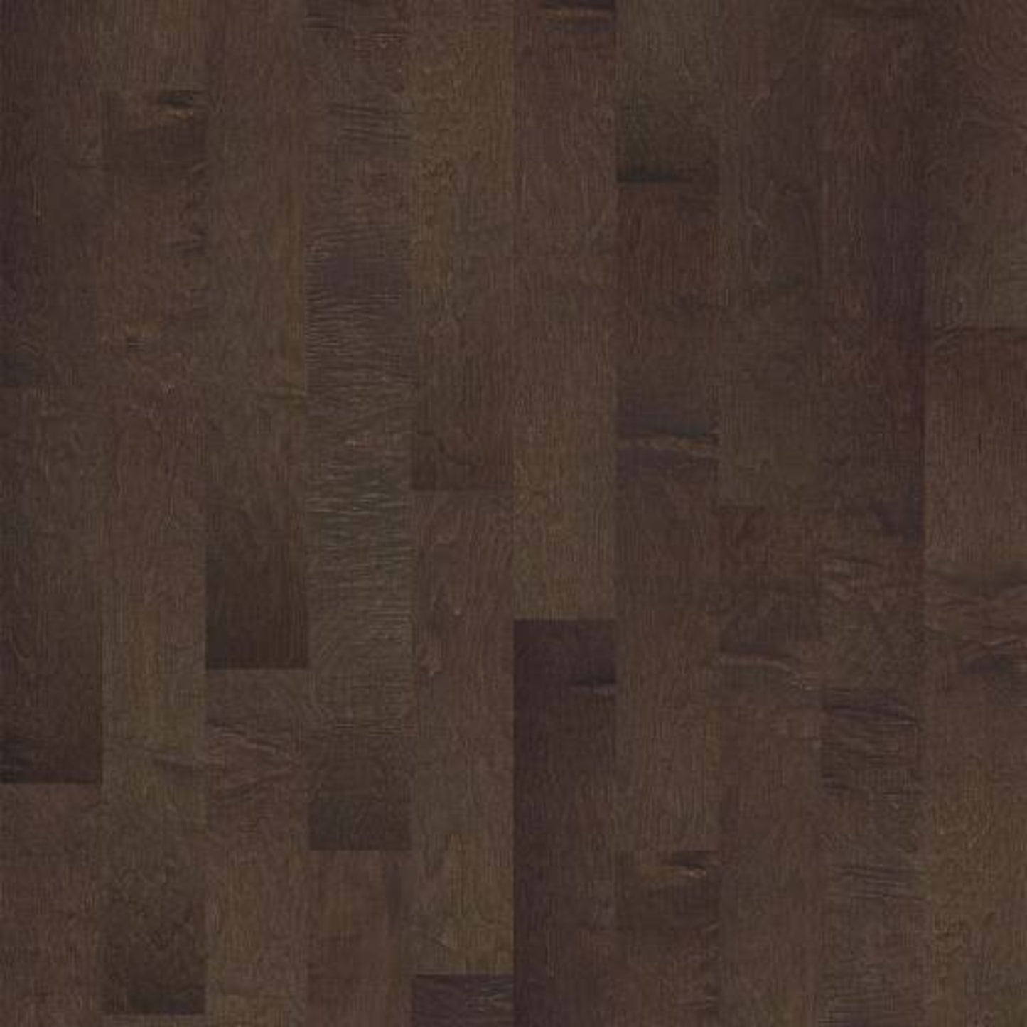 CLEARWATER in Bayfront Hardwood