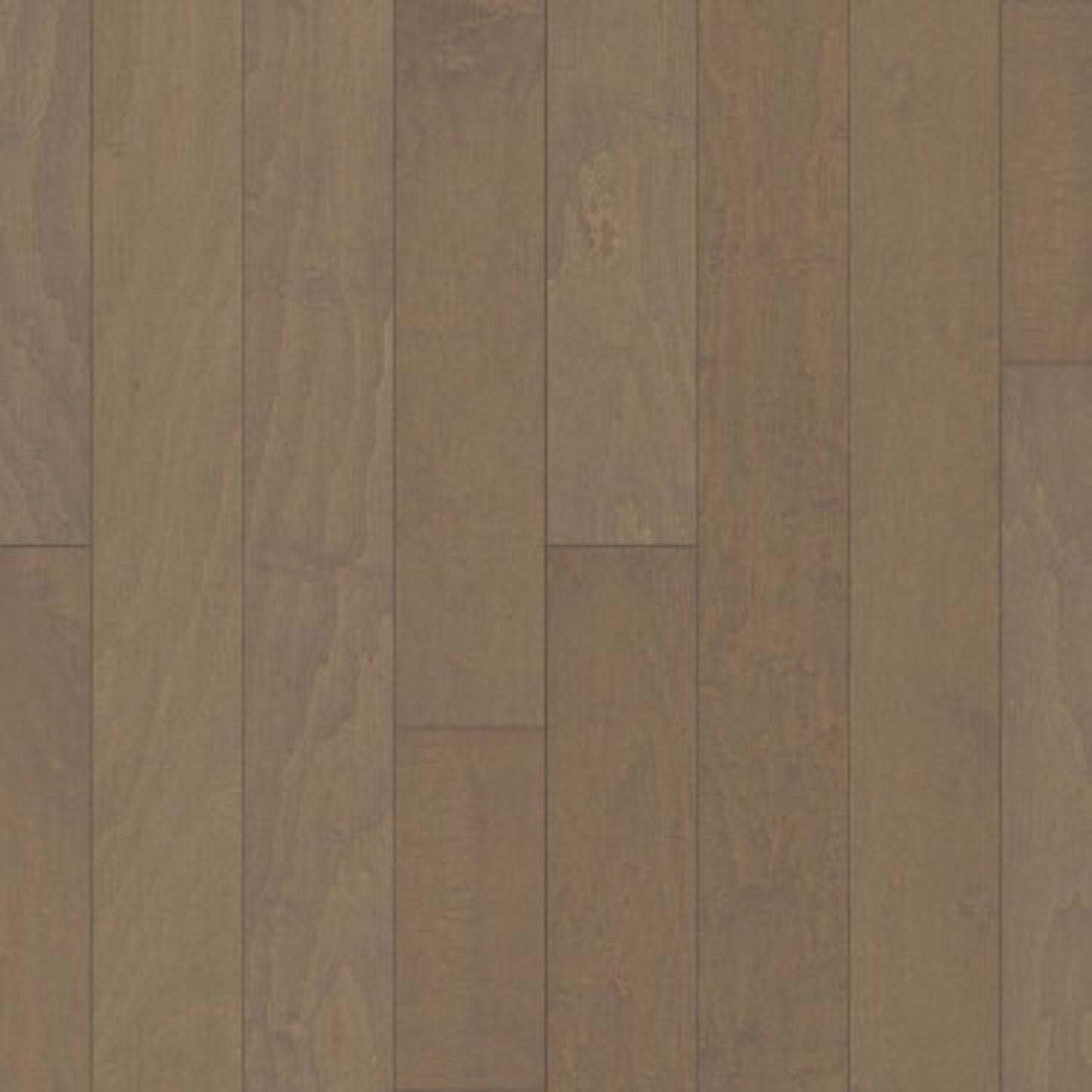 CLEARWATER in Crescent Beach Hardwood