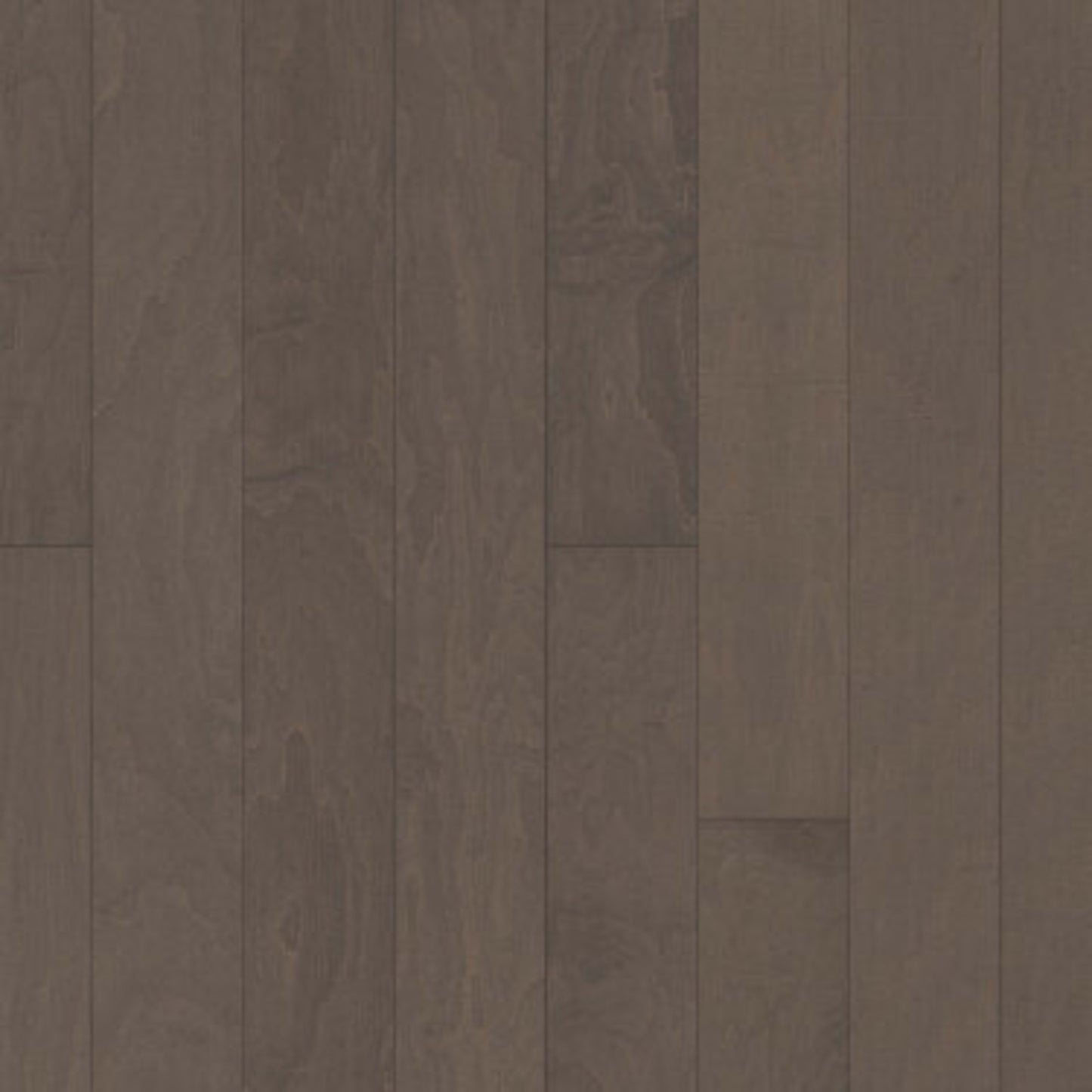 CLEARWATER in Windsurf Hardwood