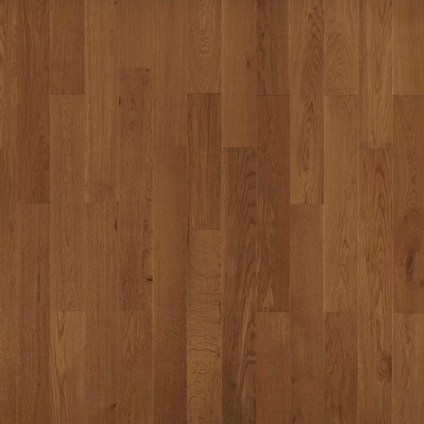 American Traditional Classics in Saddle White Oak 3.25" Hardwood