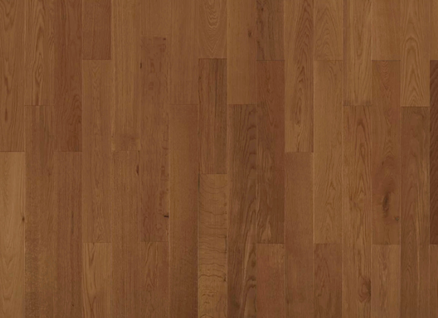 American Traditional Classics in Saddle White Oak 3.25"