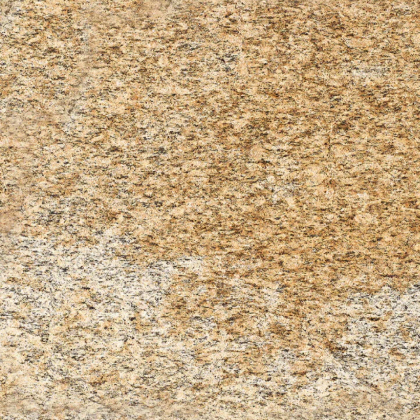 Sensa in Santa Cecilia Natural Stone