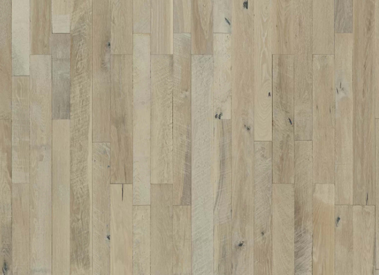 Organic Solid Collection in Sorrel Oak