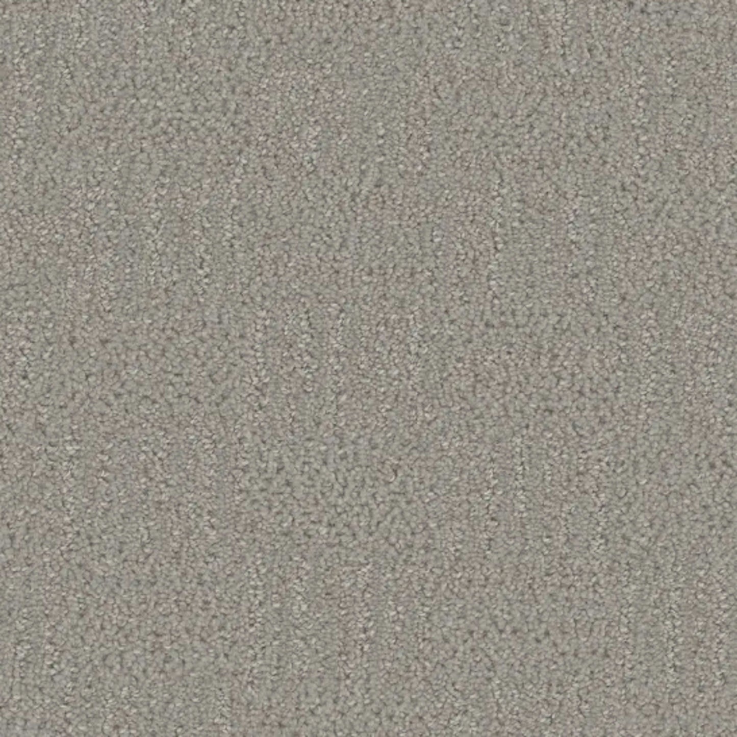 Mystique in Star Dust Carpet