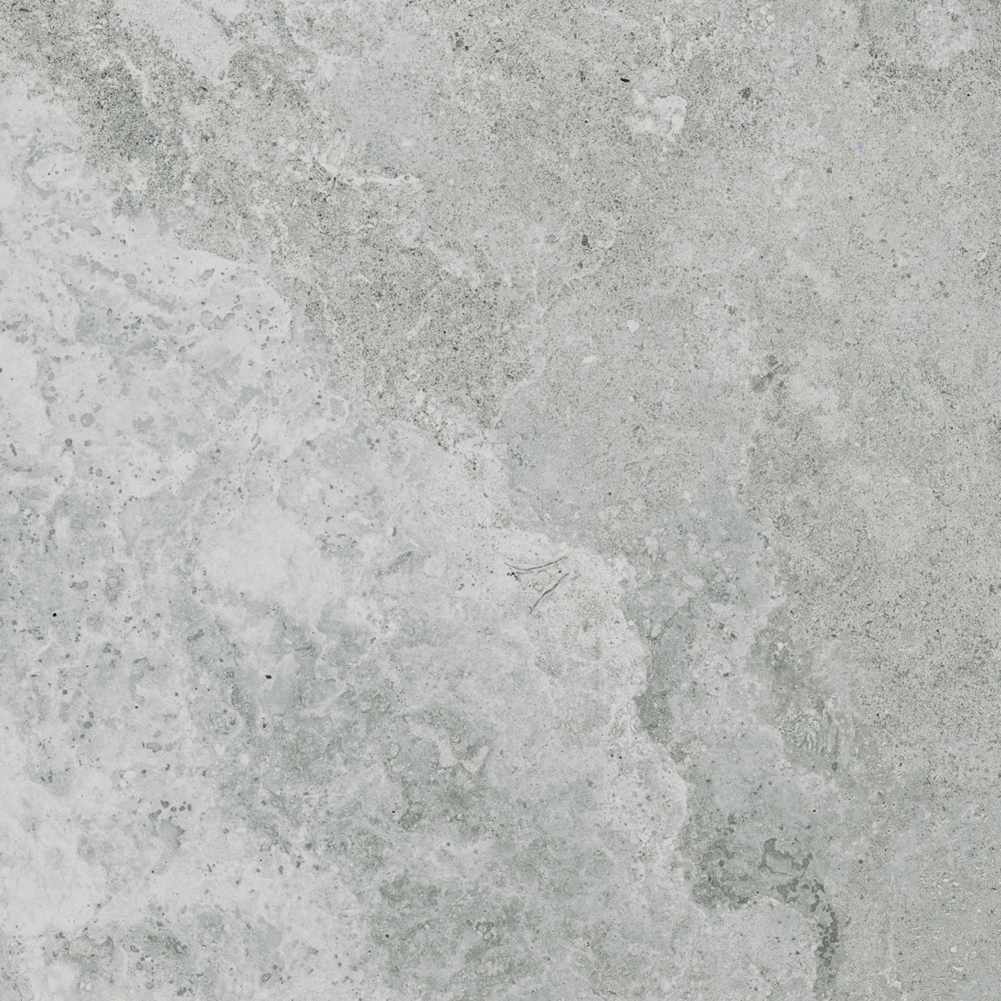 Provence in Mortain 12"x24" Tile