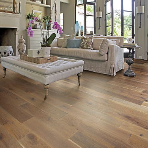 Castlewood Oak in Baroque
