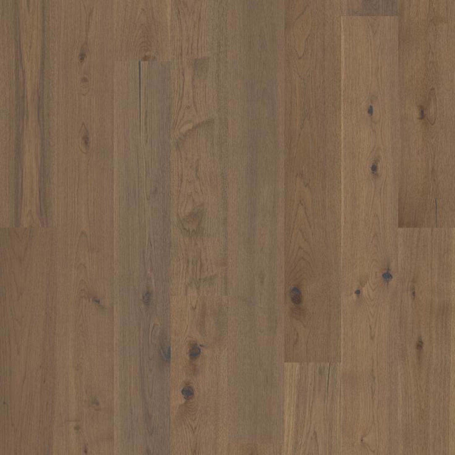 Castlewood Hickory in Romanesque Hardwood