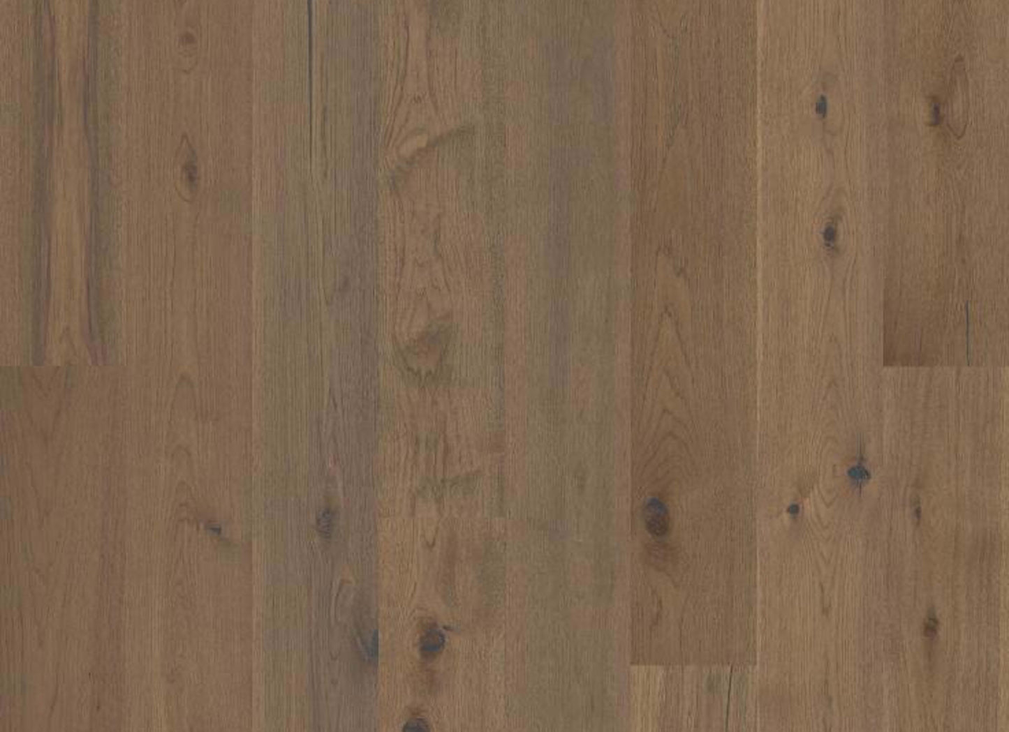 Castlewood Hickory in Romanesque