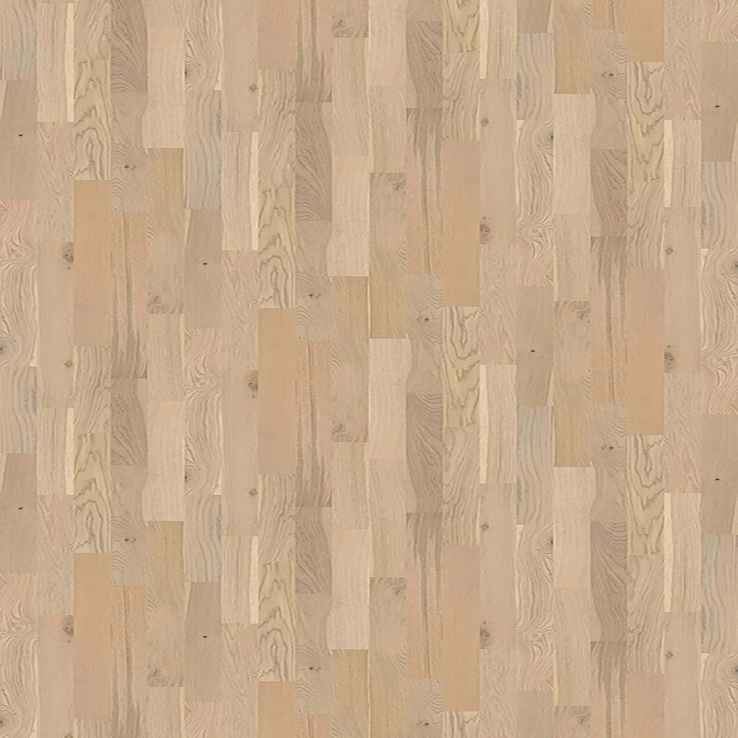 EMPIRE OAK PLANK in Vanderbilt Hardwood