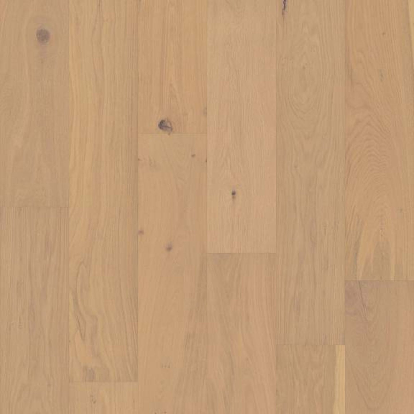 COUTURE OAK in Champagne Hardwood