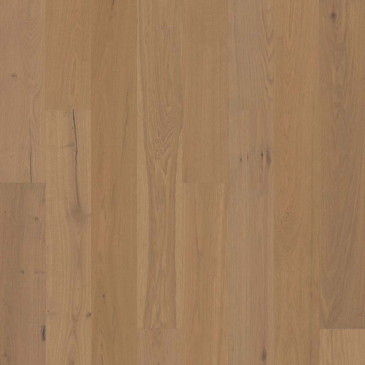 COUTURE OAK in Crema Hardwood