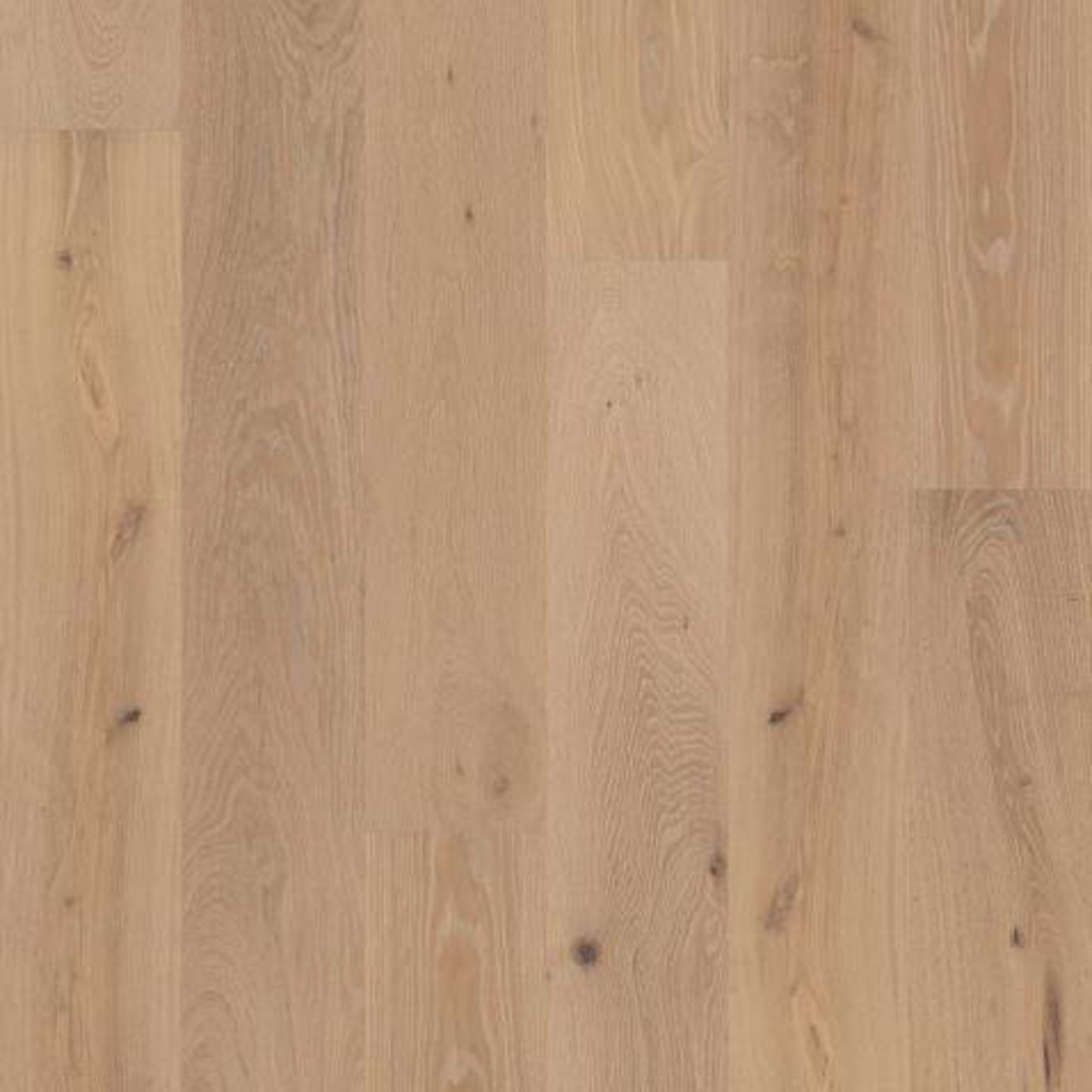 EXPRESSIONS in Fresco Hardwood