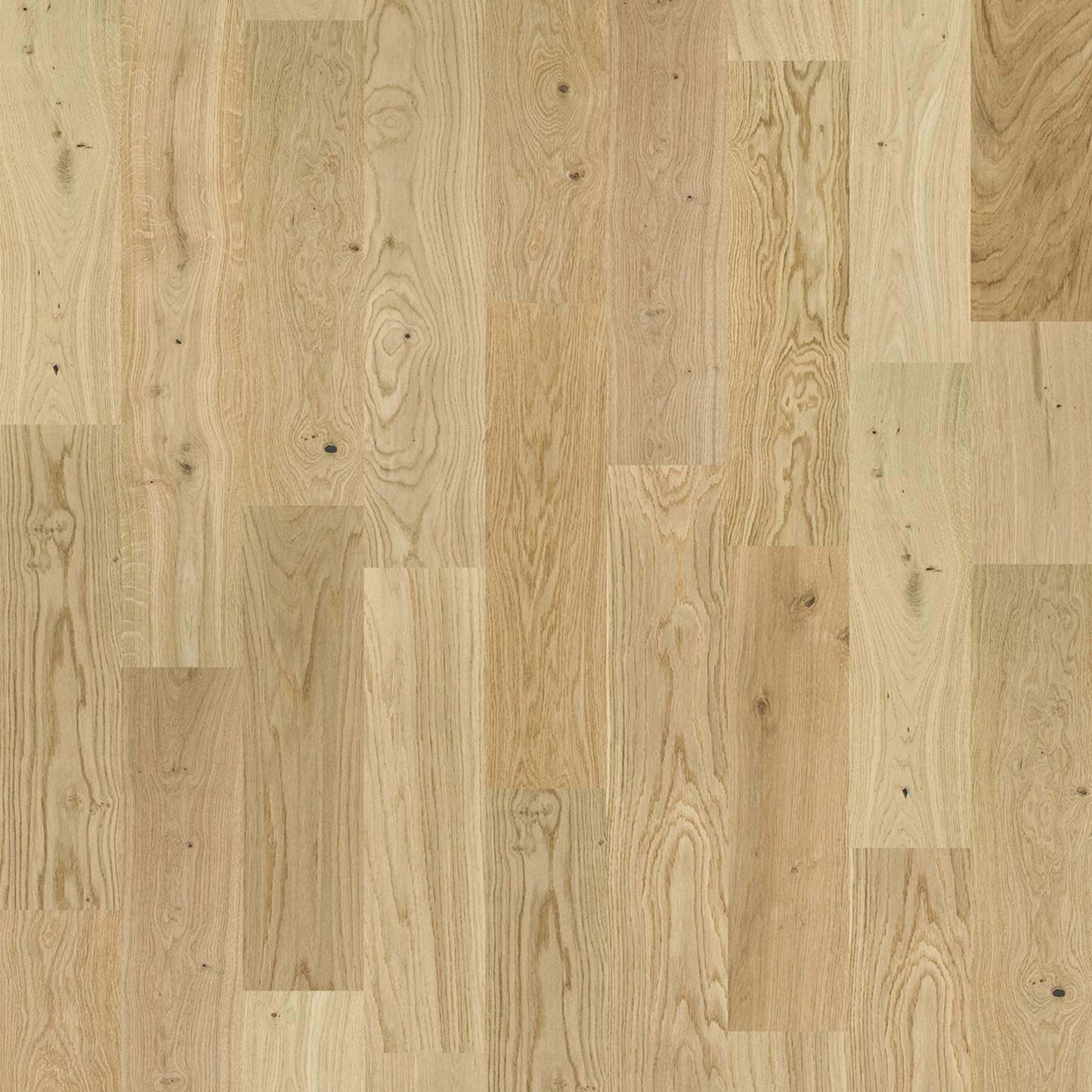 EXPRESSIONS in Harmony Hardwood