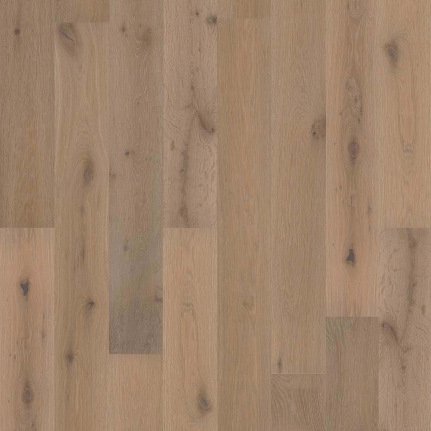 EXPRESSIONS in Watercolor Hardwood