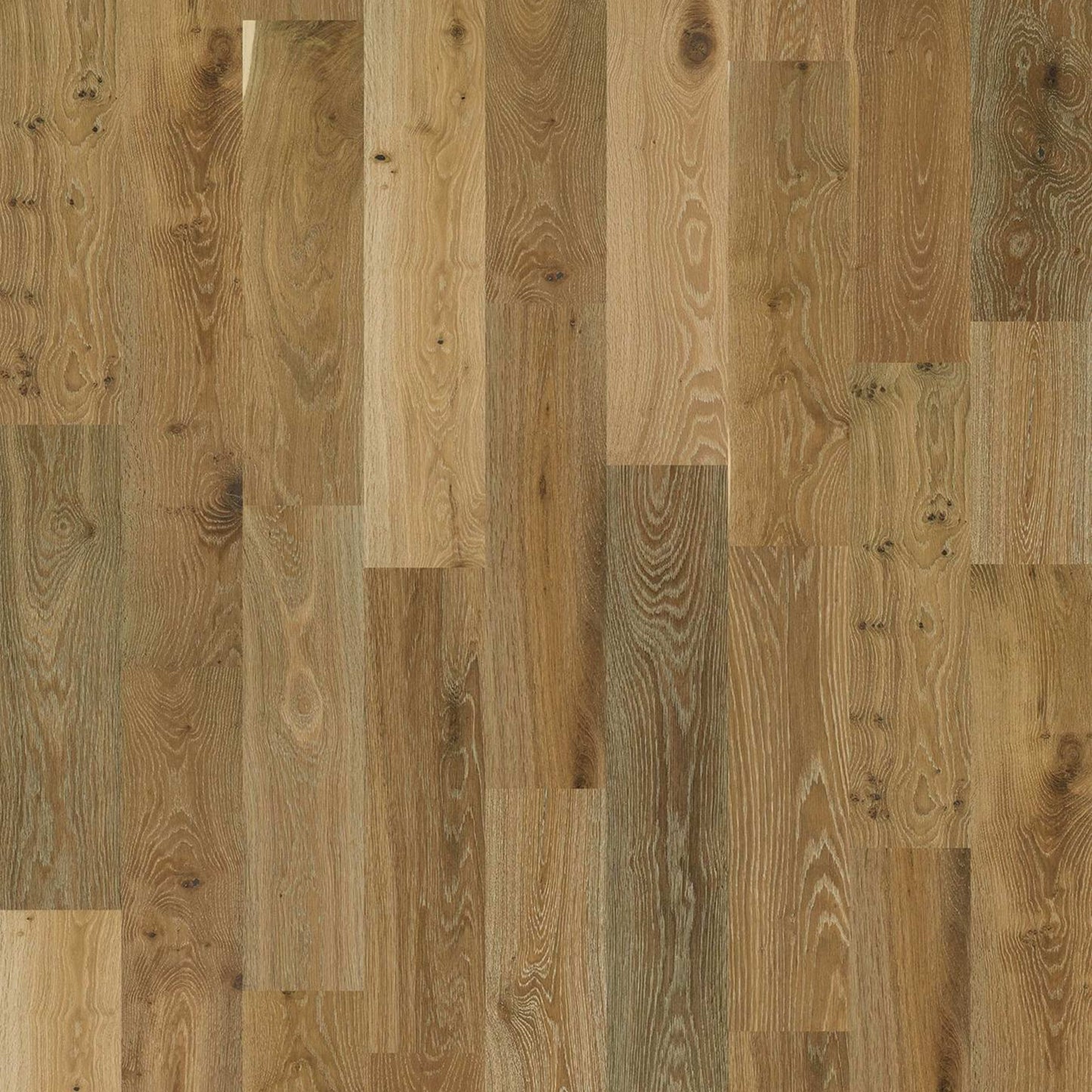 EXPRESSIONS in Artistry Hardwood