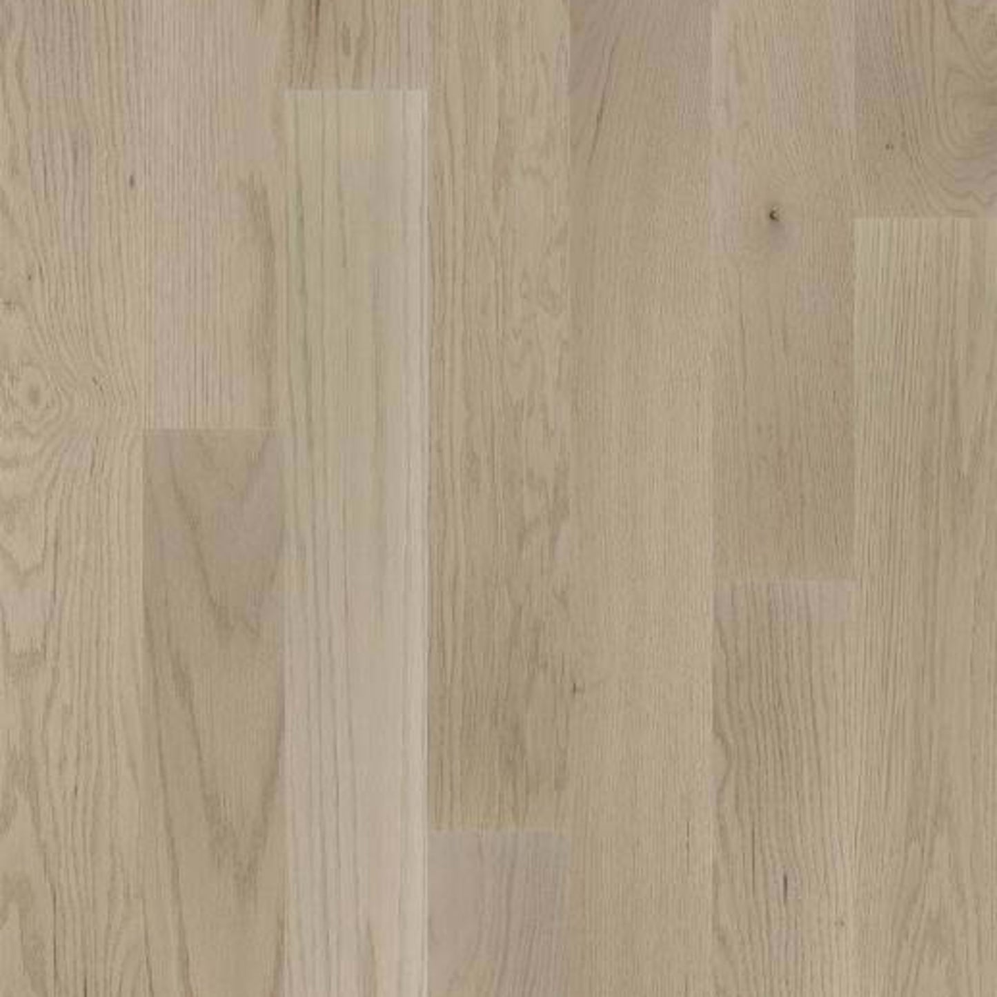 SANCTUARY OAK in Haven Hardwood