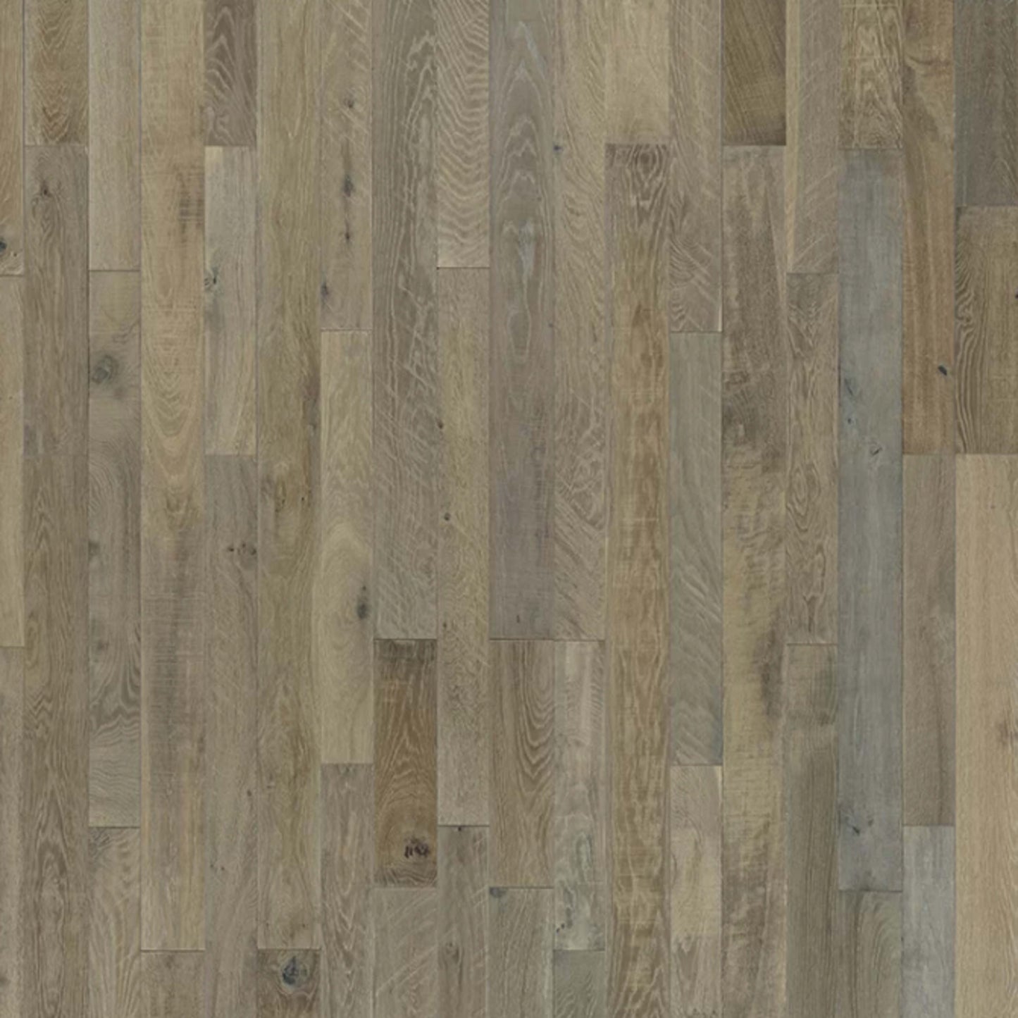 Organic Solid Collection in Tarragon Oak Hardwood