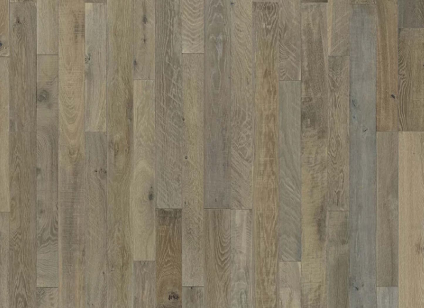 Organic Solid Collection in Tarragon Oak