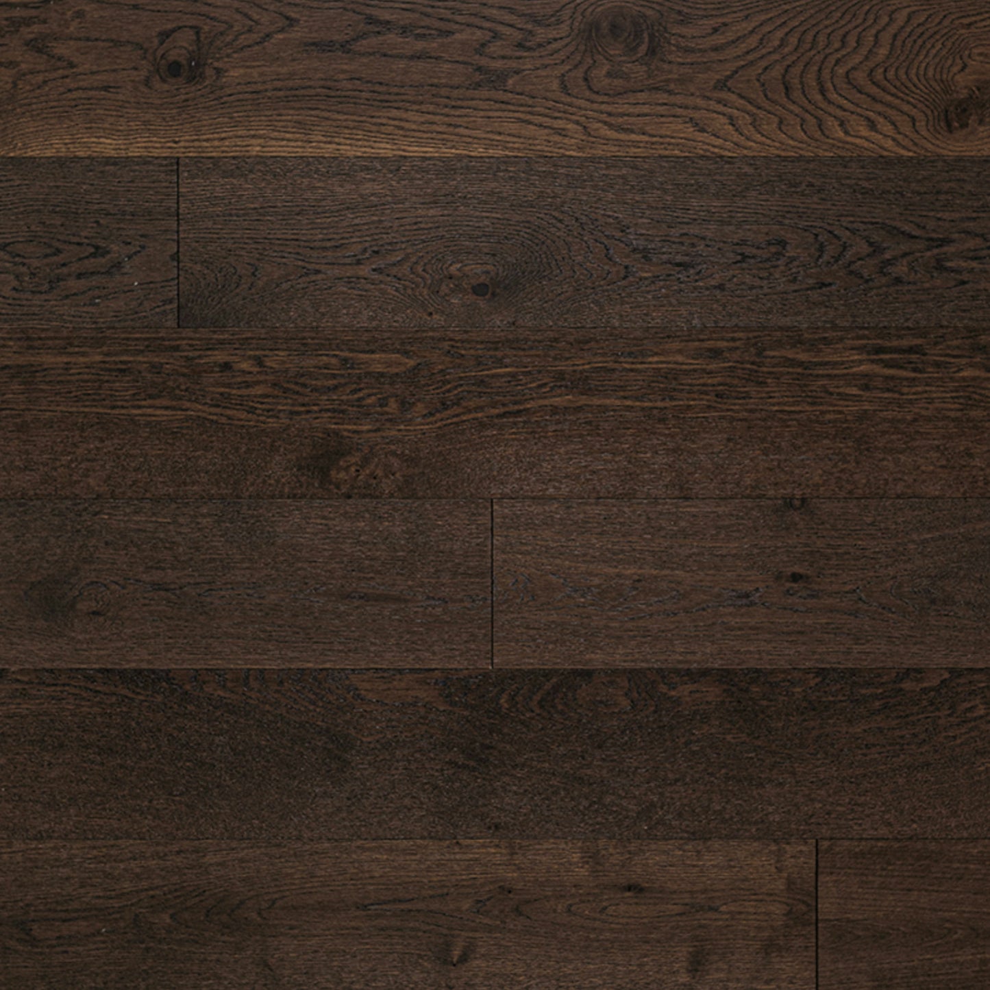 W Hardwood - McCarran in Thornburg Hardwood