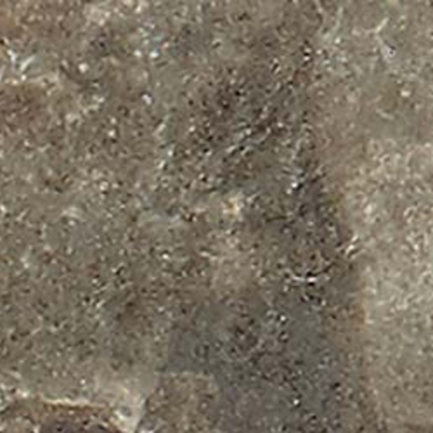 Brickell in Taupe 2"x8" Tile