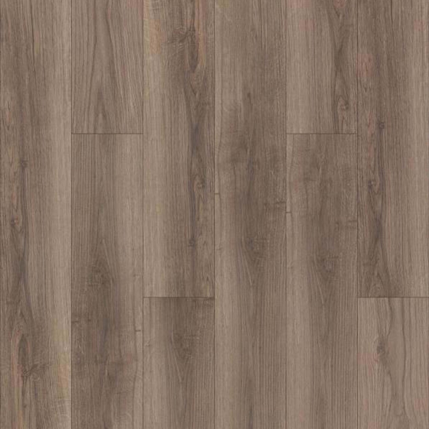 LAZIO PLUS in Riva Luxury Vinyl