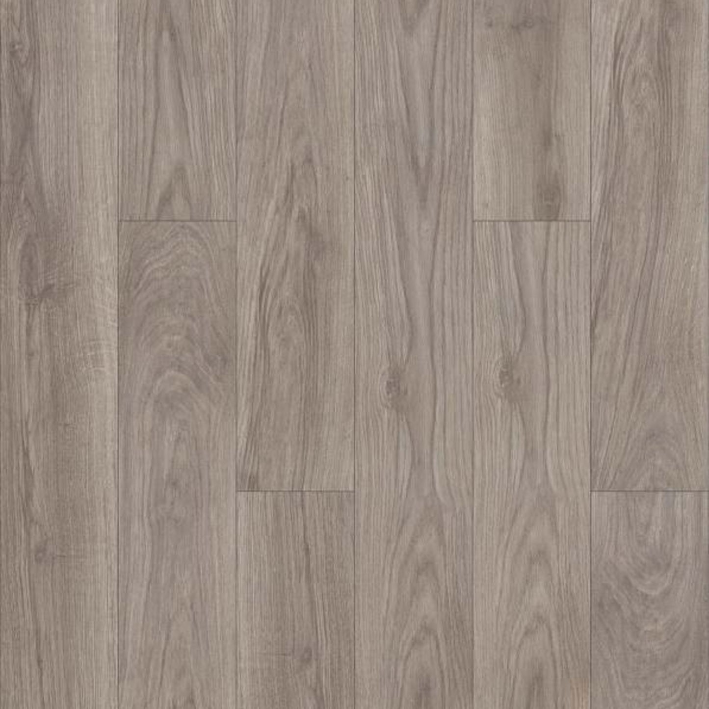 LAZIO PLUS in Lince Luxury Vinyl
