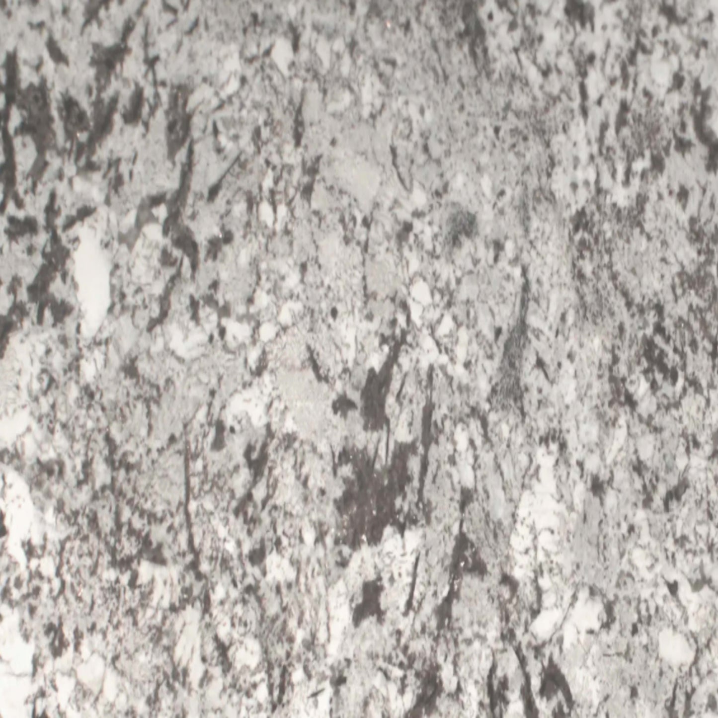 Sensa in White Splendor Natural Stone