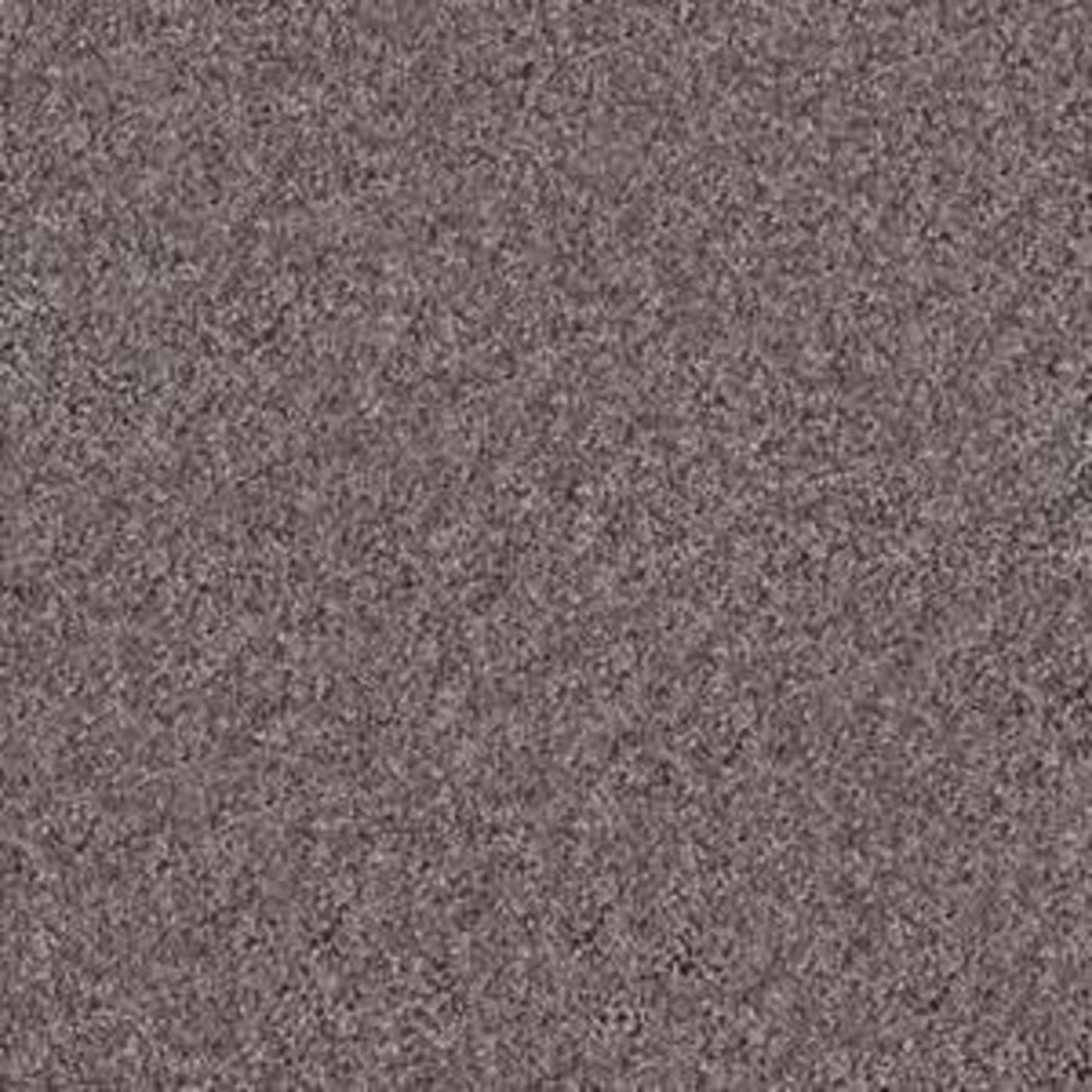 Xv854 in Silver Strand Carpet