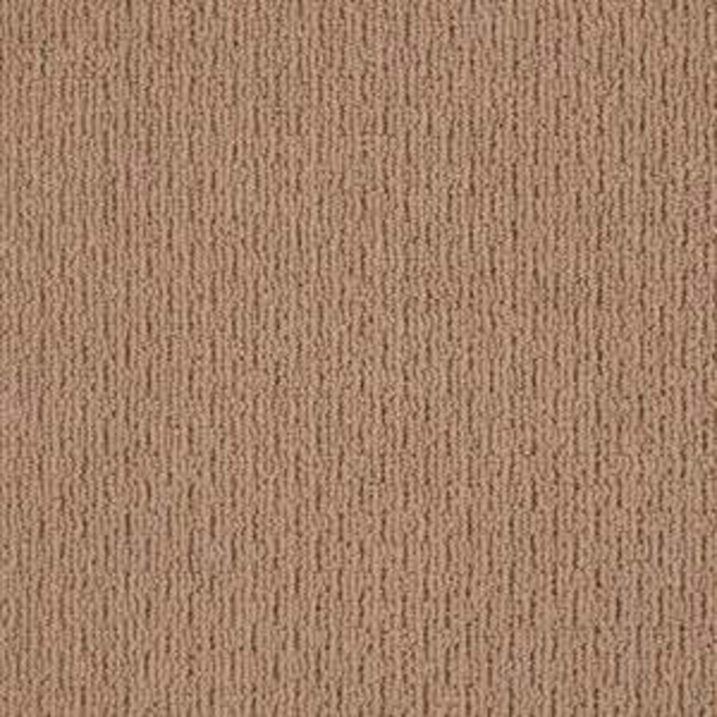 Another Place in Buckaroo Carpet