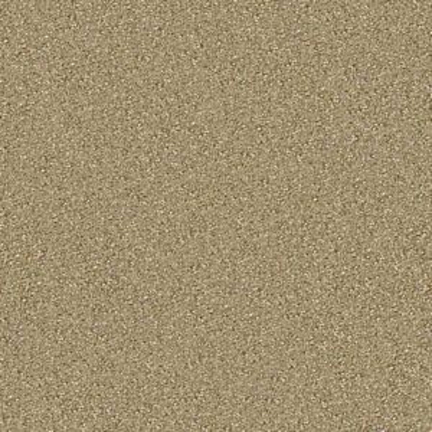 On Point in Gilt Carpet