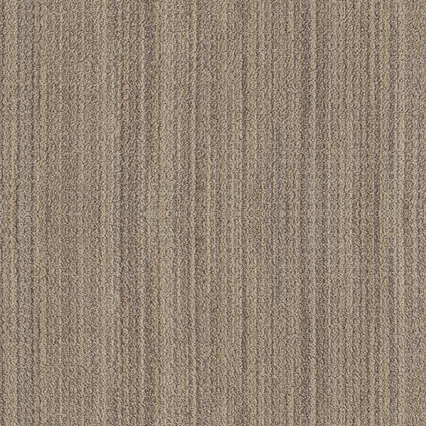 SUNDANCE in Wild Oats Carpet