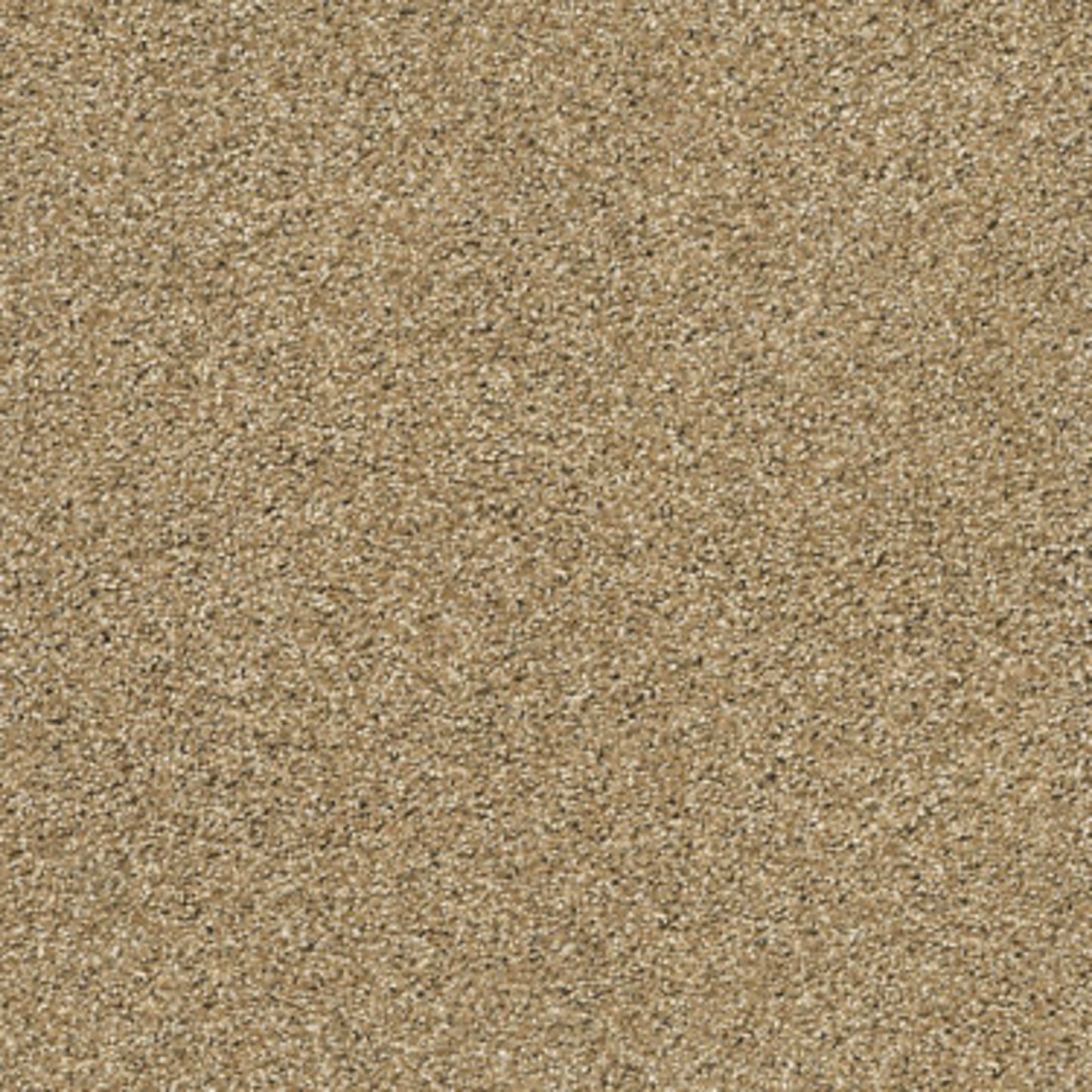 ACADIA PARK in Caramelo Carpet