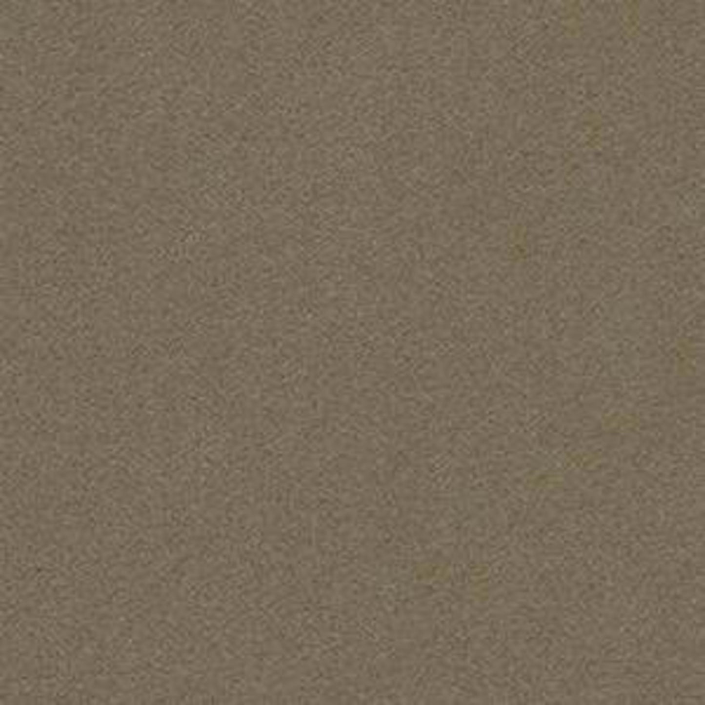 PERFECT CHOICE in Sleek Suede Carpet