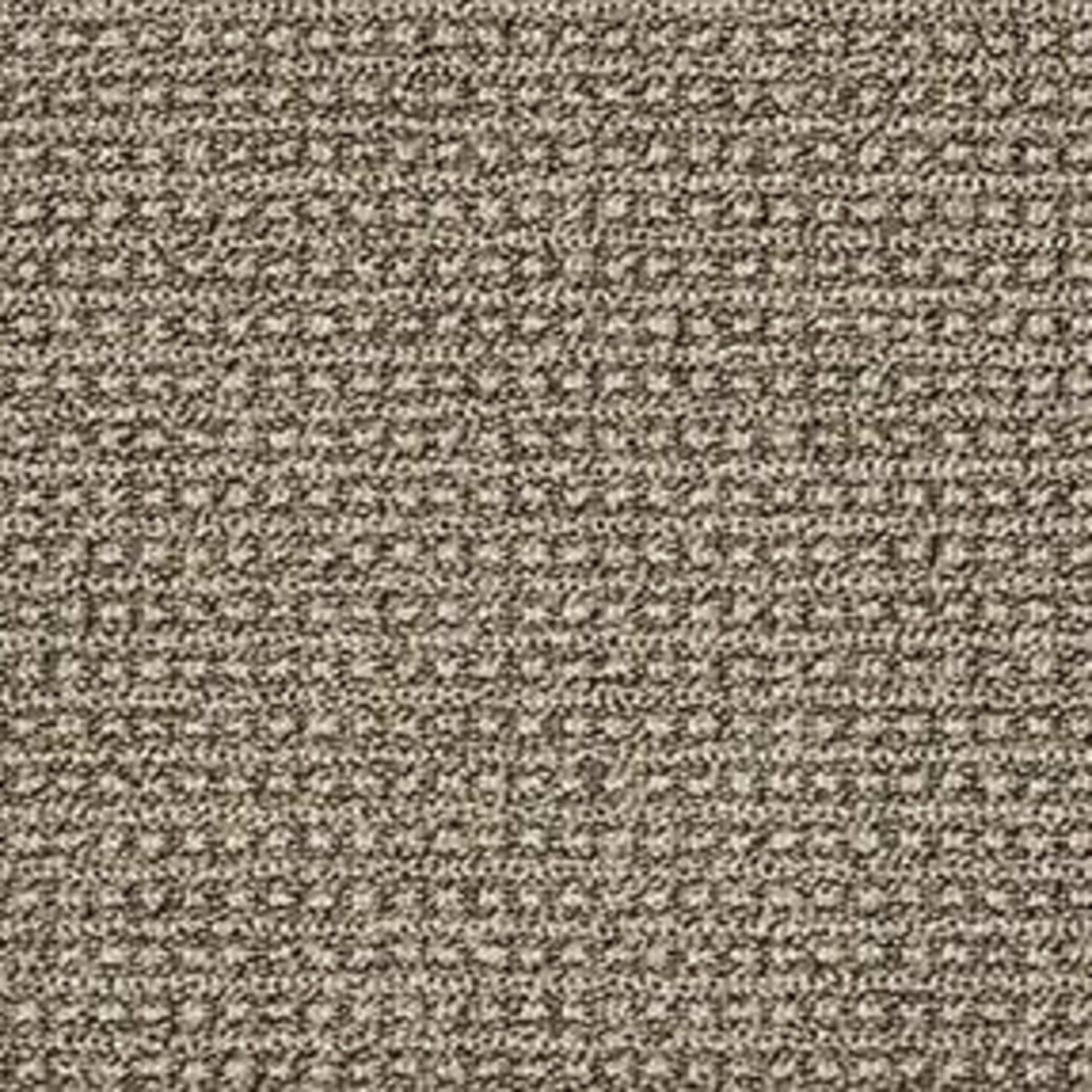 FETCH in Desert Palm Carpet