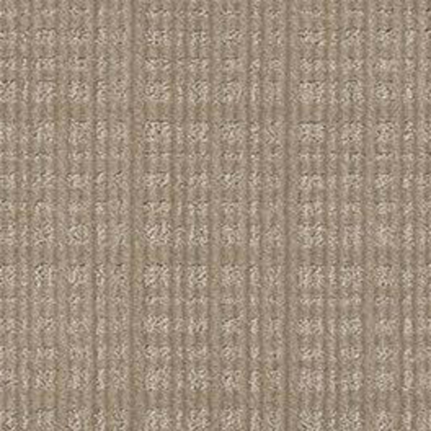 PURRSUASION in Favorite Tan Carpet