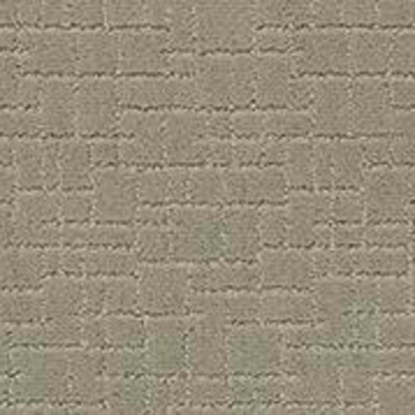 FAUX PAW in Gray Mirage Carpet