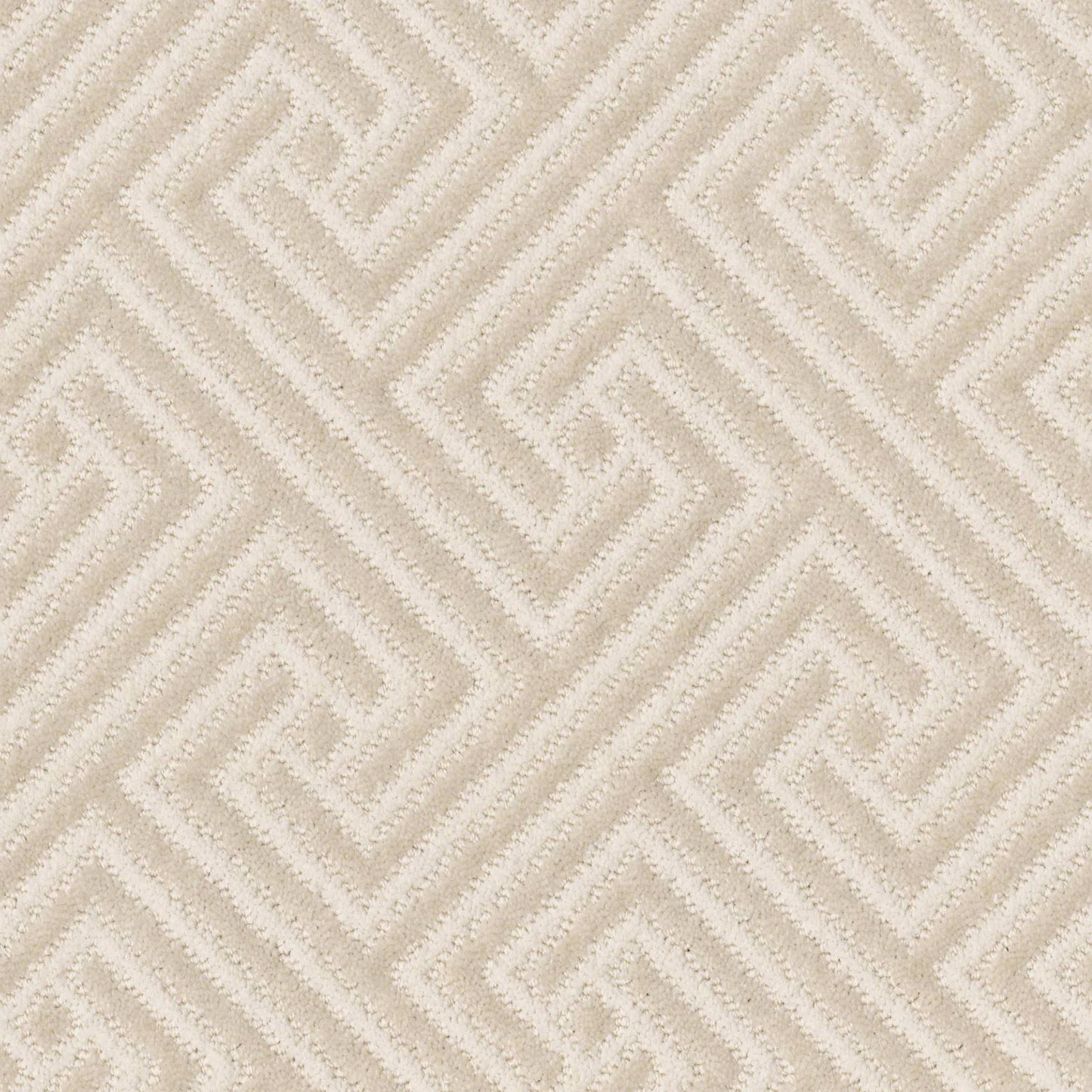 ARTIFACT in Ivory Cream Carpet