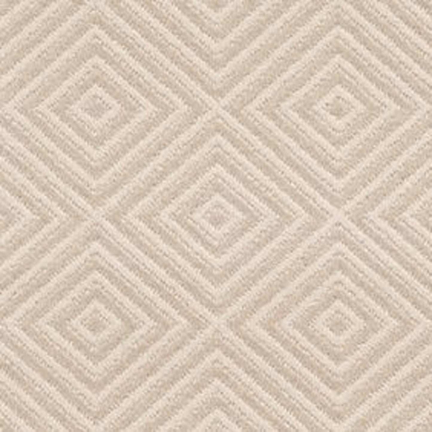 ARISTOCRAT in Daylily Carpet