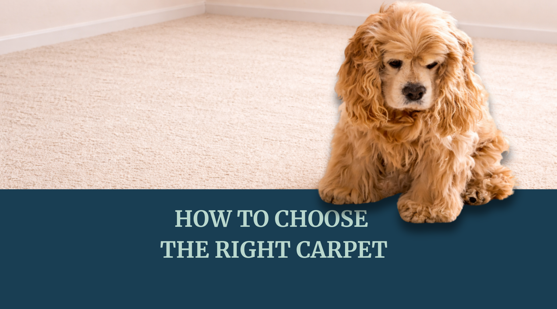 How to Choose the Right Carpet for Every Room in Your Home