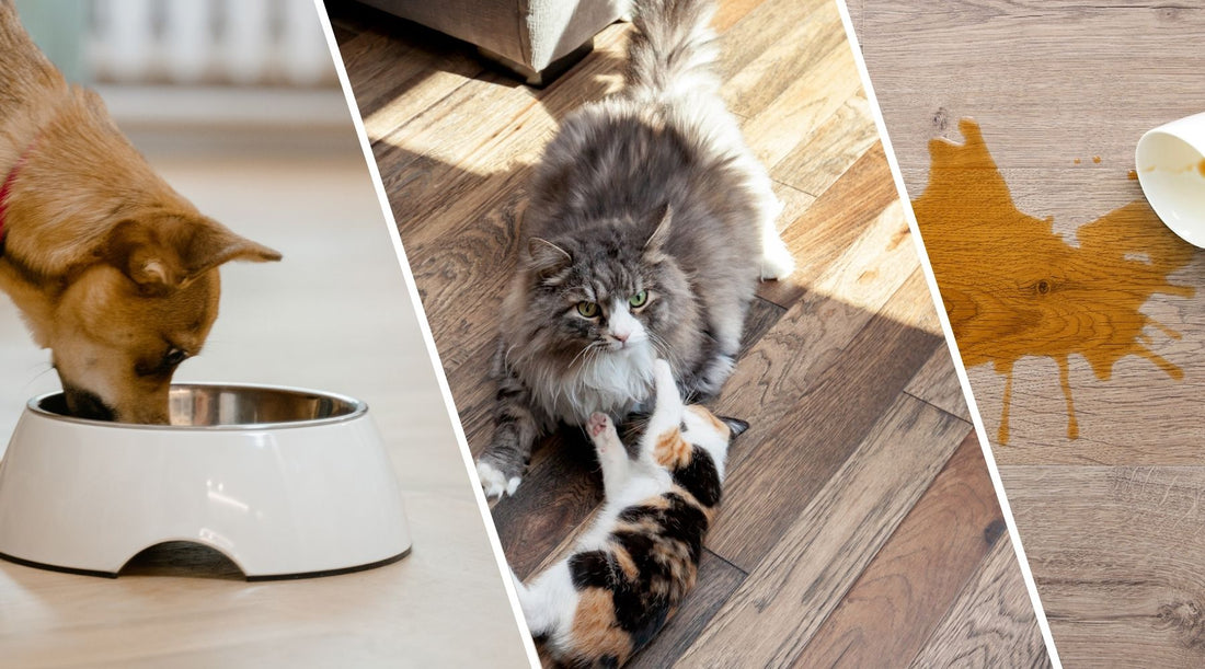 What You Need to Know About Engineered Hardwood Flooring: Smart Style for Busy Homes