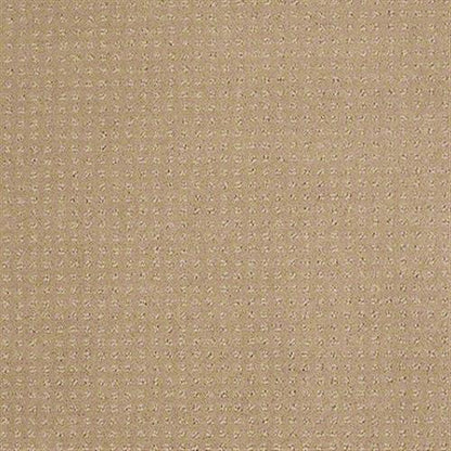 Colorful Fun in Natural Grain Carpet