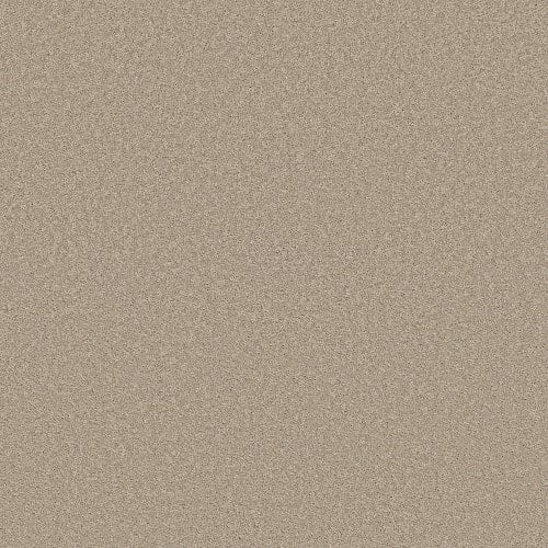 Velvet Touch I in Chic Greige