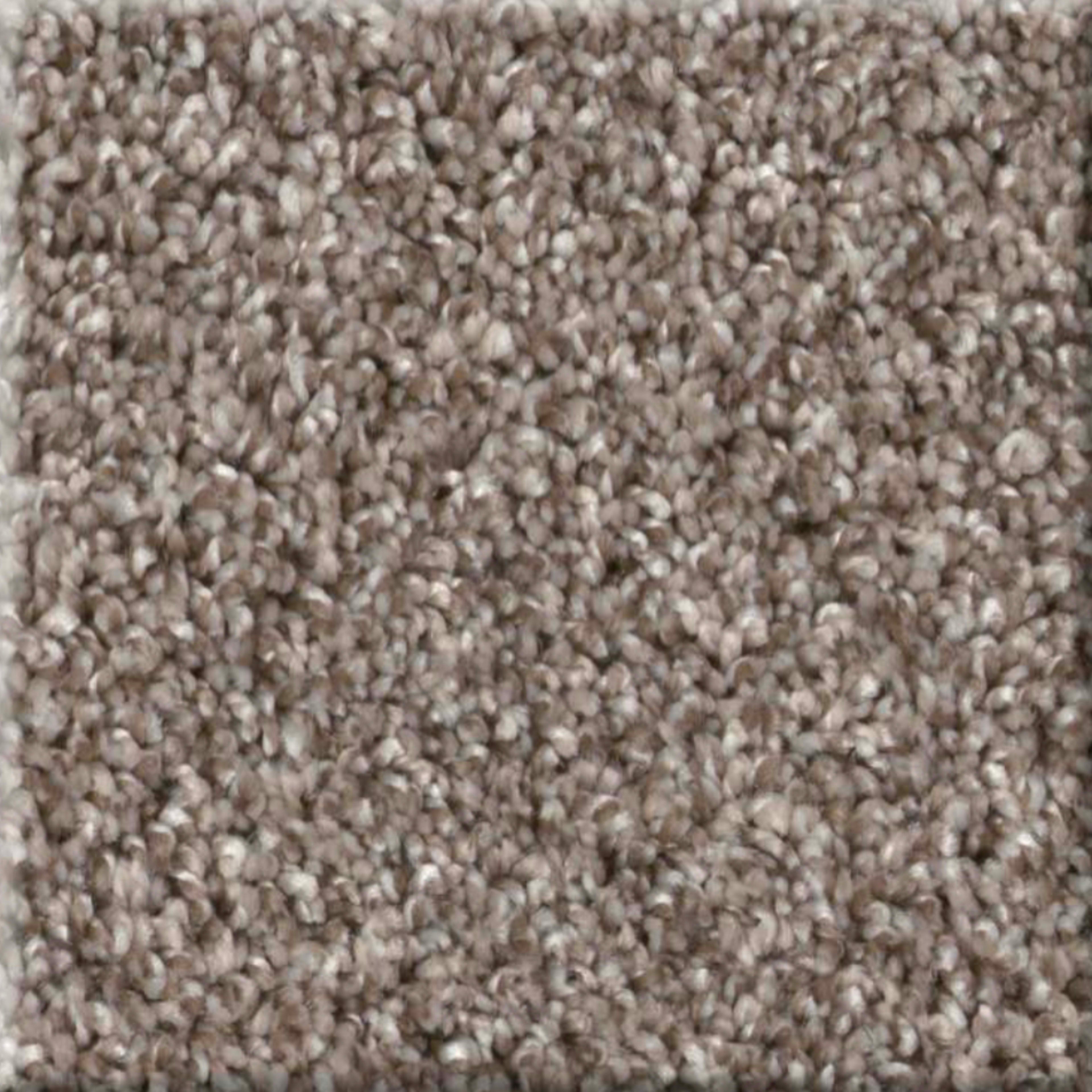 GRANDIOSE in Chestnut Carpet