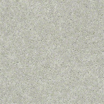 Easy Fit in Arctic Carpet