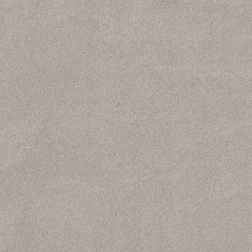 Vivid Touch Ii in Beige Mist