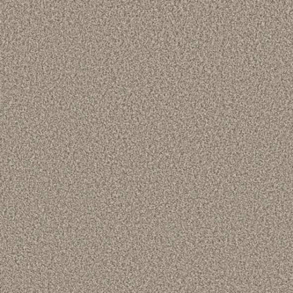 TWEED COMFORT II