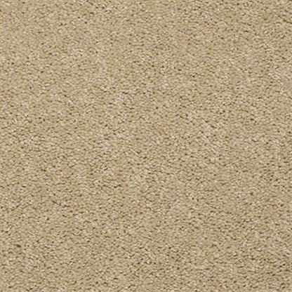 Mission Statement II 12 in Haystack Carpet