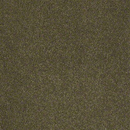 Cashmere II